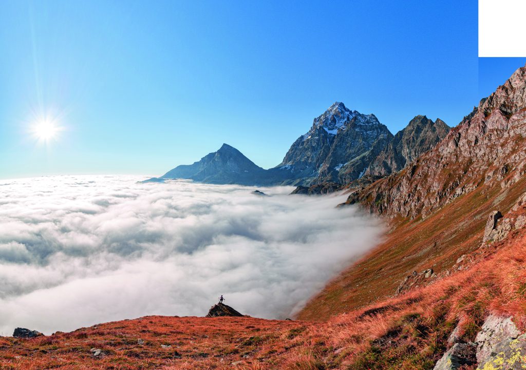 La vetta del Monviso (3841 m), come le sorgenti delPo,ilBoscodellA’ levé
e numerosi altri ambienti straordinari, ricadono entro
i confini del Parco del Monviso. Foto  Giacomo Meneghello/ClickAlps