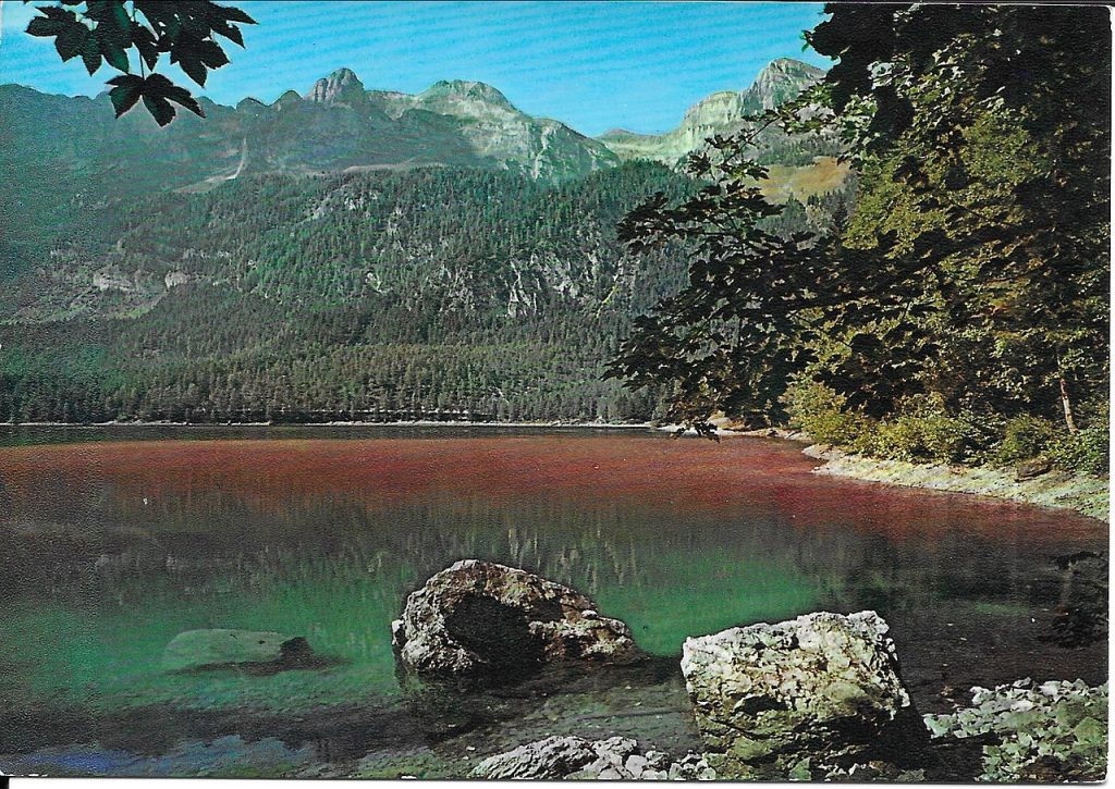 Le acque rosse del lago di Tovel - Foto datata 1964 - Wikimedia Commons @Collezione privata Albertomos
