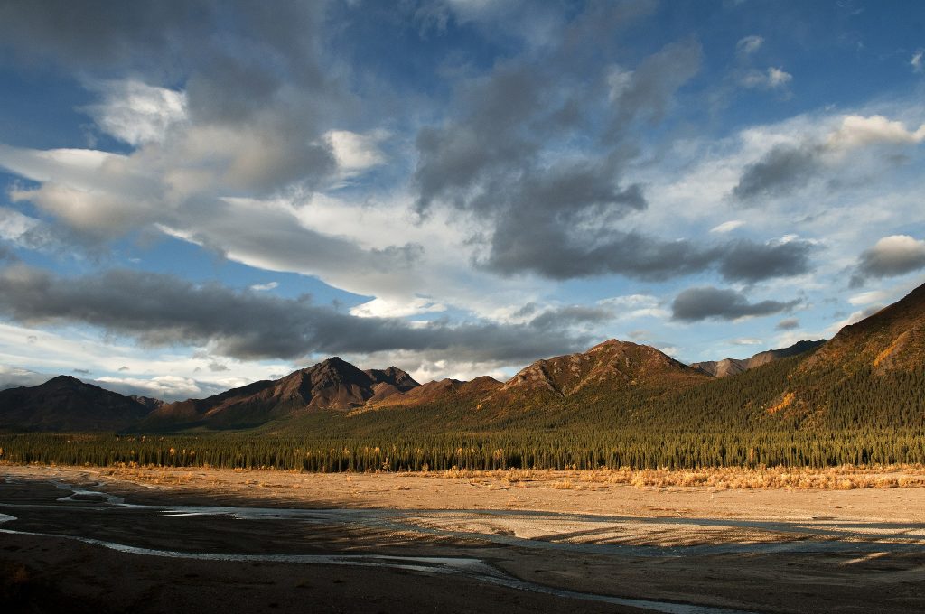Autunno sul Teklanika river - Foto Wikimedia Commons @Denali National Park and Preserve