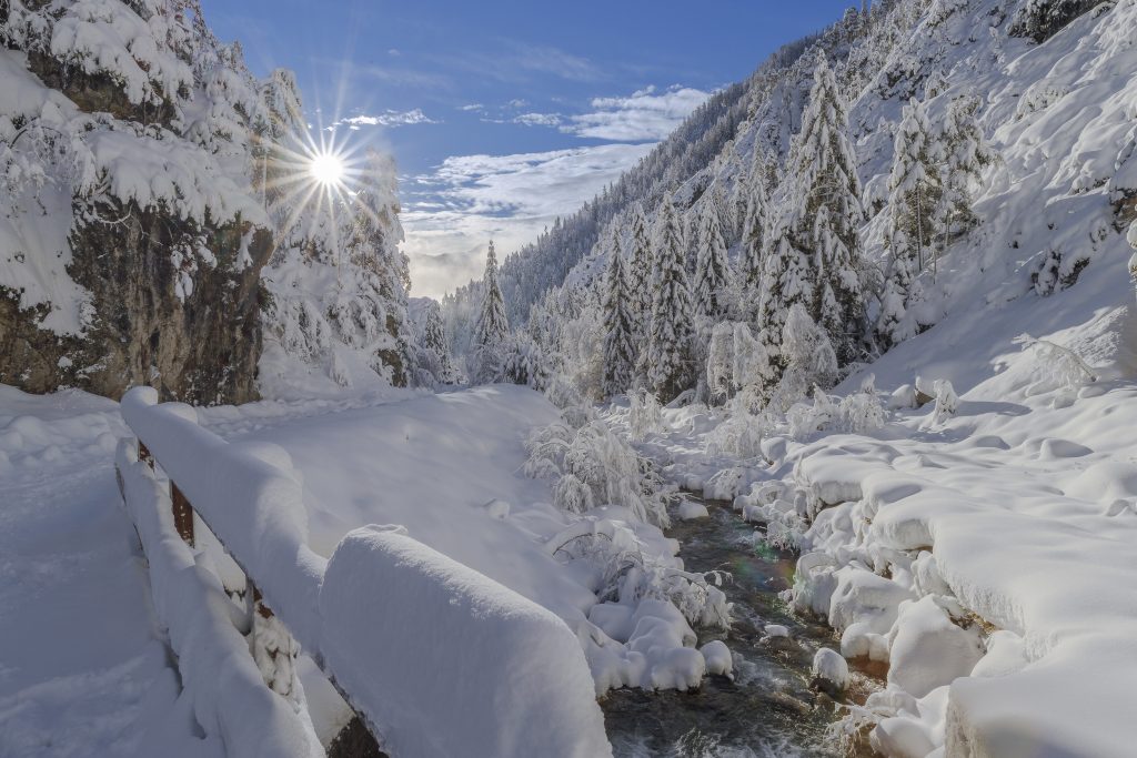 Sonia Fantini (primo premio) - Titolo: Neve Fresca - Luogo: Val Bartolo (UD), Friuli Venezia Giulia - Didascalia fornita dall’autore: Ho scattato questa foto ciaspolando in prima mattina in Val Bartolo dopo una copiosa nevicata notturna che ci ha regalato questo paesaggio da sogno.