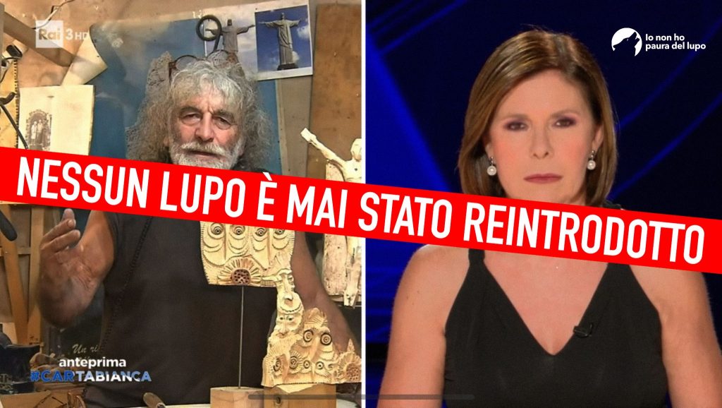 Associazione Io non ho paura del lupo