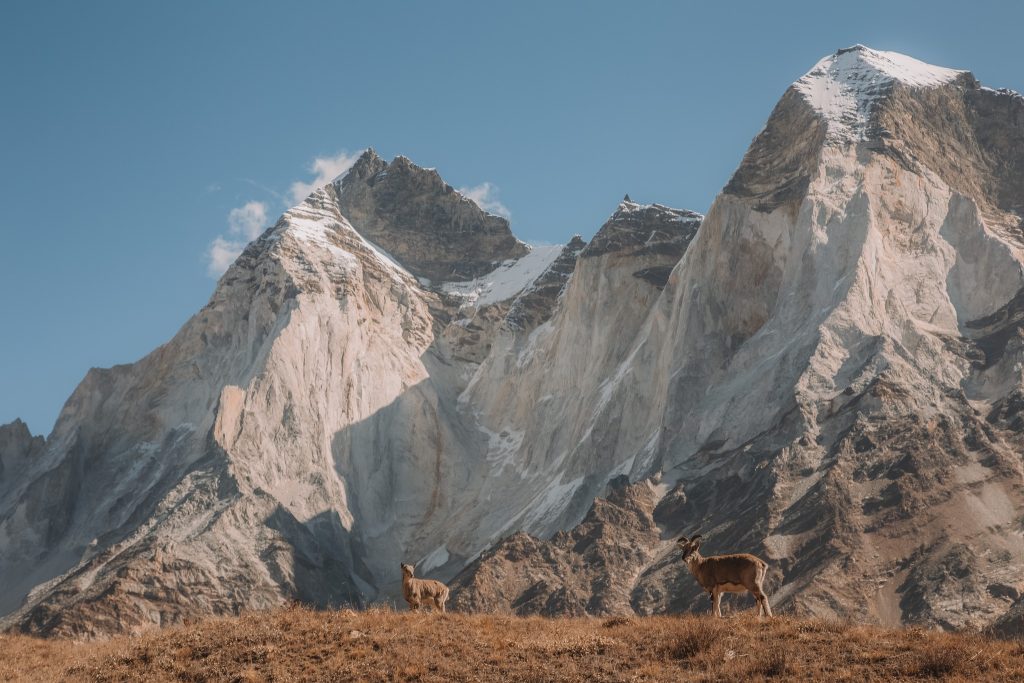 Bhagirathi , Foto Andrzej Życzkowski via Polski Himalaizm Sportowy