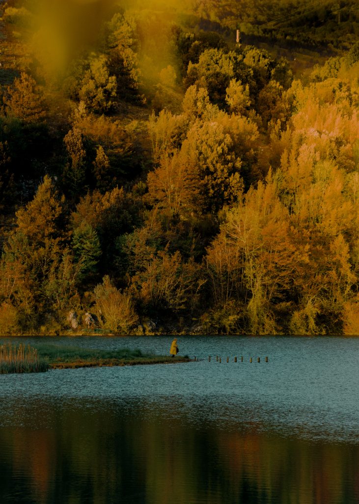 Fabio Filomena (terzo premio) - Titolo: Lady in a yellow coat - Luogo: Lago Pantano a Mormanno (CS) Parco Nazionale del Pollino - Didascalia fornita dall’autore: Questa foto rappresenta la simbiosi tra l