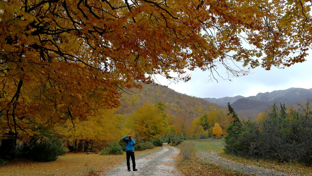 Autunno in Val Fondillo