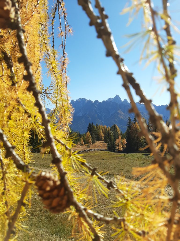 Chiara Della Flora - Titolo: Foliage -  Luogo: Dobbiaco (BZ), Alto Adige - Didascalia fornita dall’autore: Uno spiraglio dorato sulle montagne.