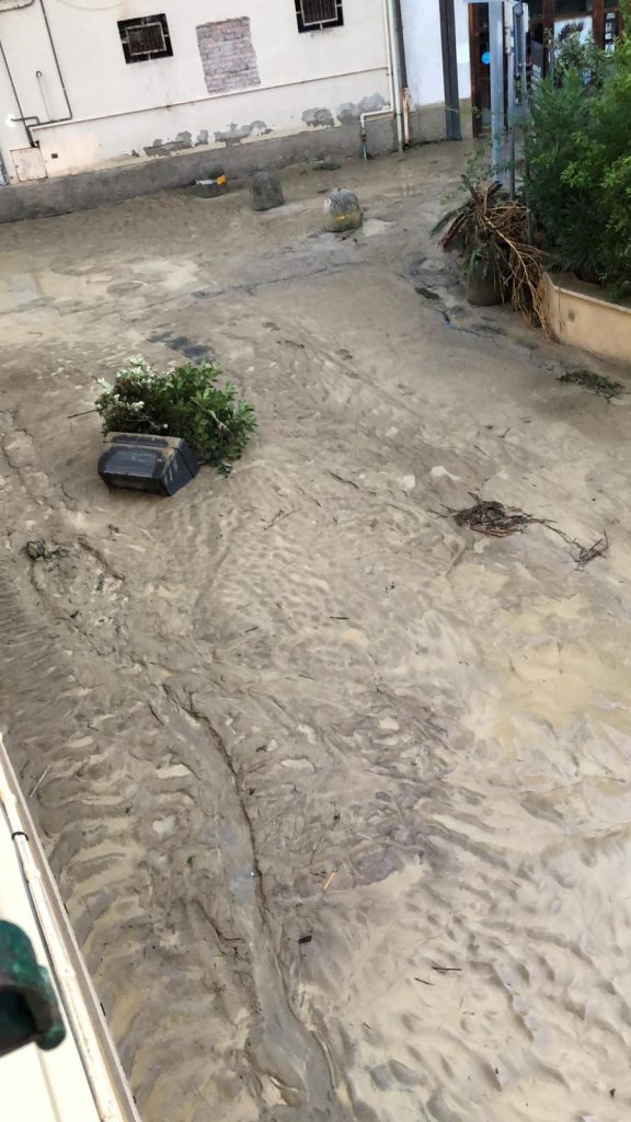 Foto ANSA/Carlo Leone