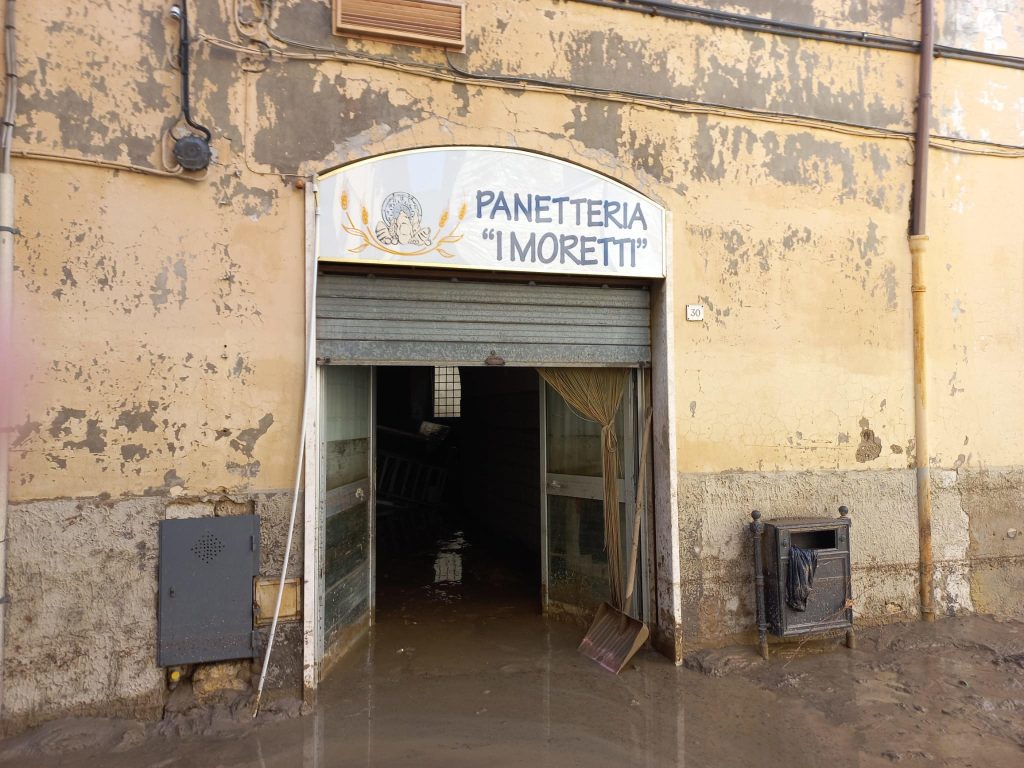 Foto ANSA/ALESSANDRA MASSI