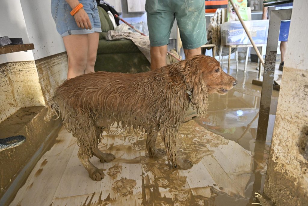 Foto ANSA/ALESSANDRO DI MEO