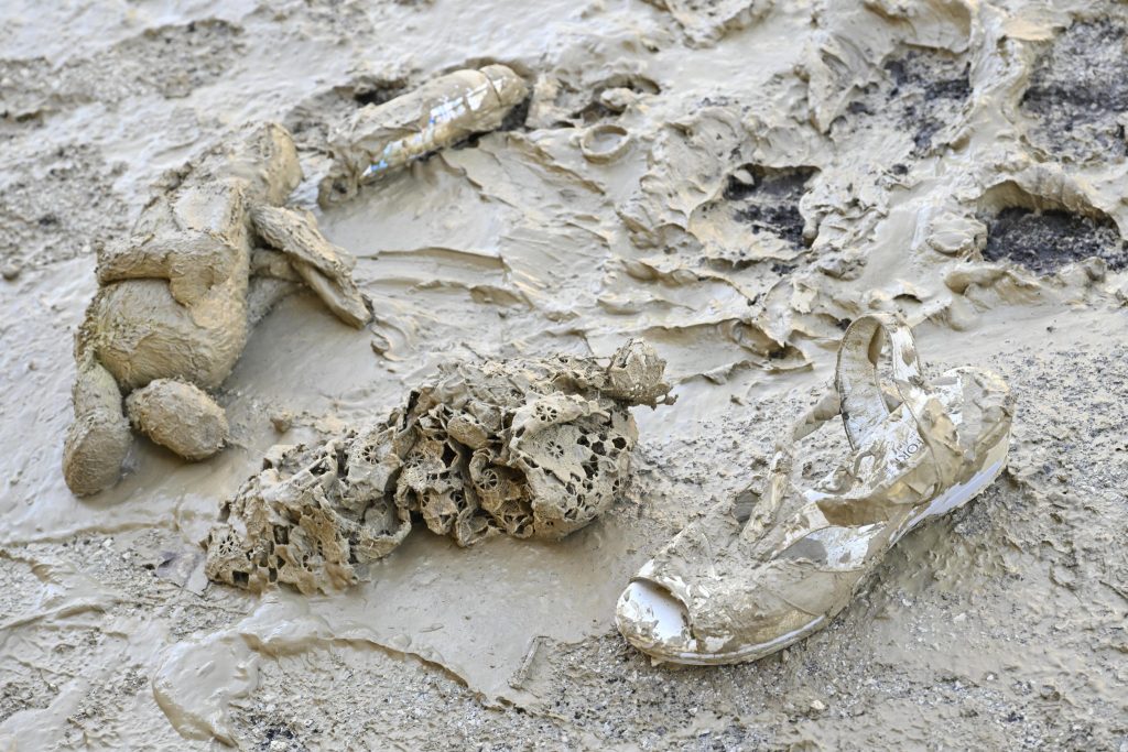 Foto ANSA/ALESSANDRO DI MEO