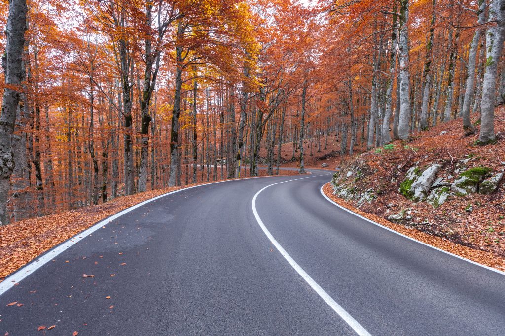 Daniele De Rubeis - Titolo: La strada nel bosco - Luogo: Forca D’Acero, tra Abruzzo e Lazio -  Didascalia fornita dall’autore: In tutte le stagioni è possibile ammirare questa faggeta attraversata da questa strada che si trova al confine tra Abruzzo e Lazio. Da qui inizia il Parco Nazionale Abruzzo Lazio e Molise che quest