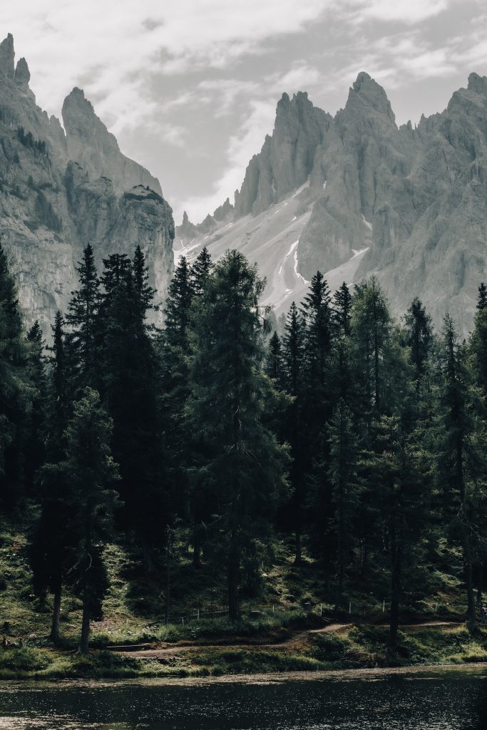 Erica Milione - Titolo: Cadini di Misurina - Luogo: Trentino-Alto Adige - Didascalia fornita dall’autore: I Cadini di Misurina fotografati dal Lago d’Antorno, situato pochi chilometri nord dal celebre Lago di Misurina, accanto alla strada che porta alle Tre Cime di Lavaredo. Ci troviamo nel cuore delle Dolomiti Patrimonio UNESCO.