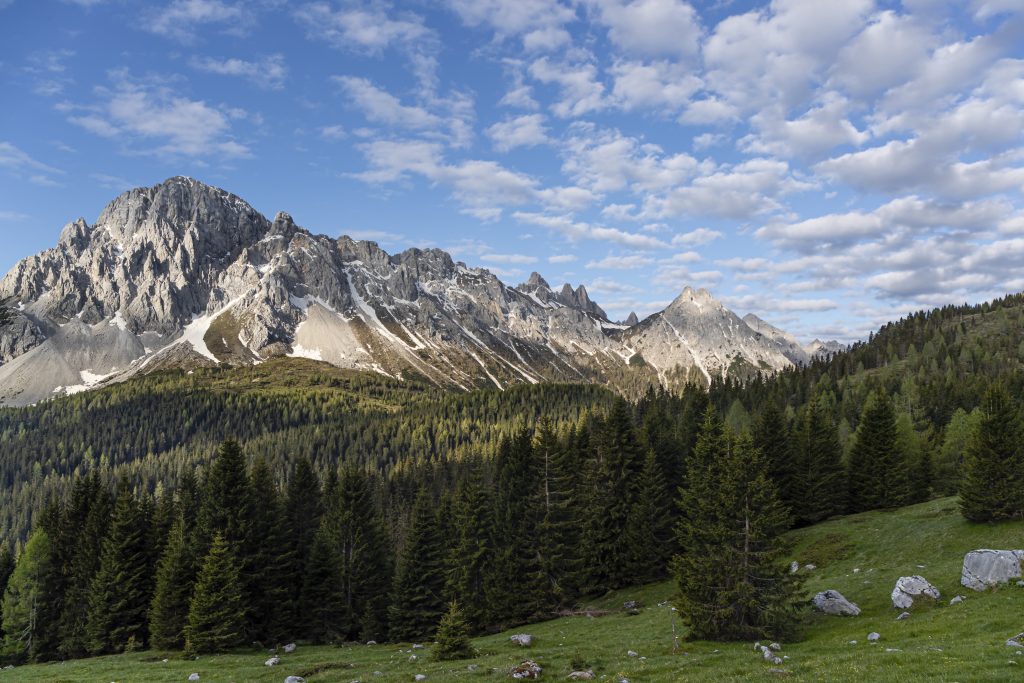 Giacomo Menta - Titolo: Sorgenti del Piave - Luogo: Sorgenti del Piave - Didascalia fornita dall’autore: La disposizione delle nuvole in cielo rendevanointeressante la montagna sopra la magnifica foresta di Sappada. 