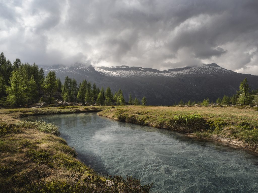 Gianni Zanella - Titolo: Meandri - Luogo: Trentino - Didascalia fornita dall’autore: In alta quota non è difficile trovare piccoli corsi d