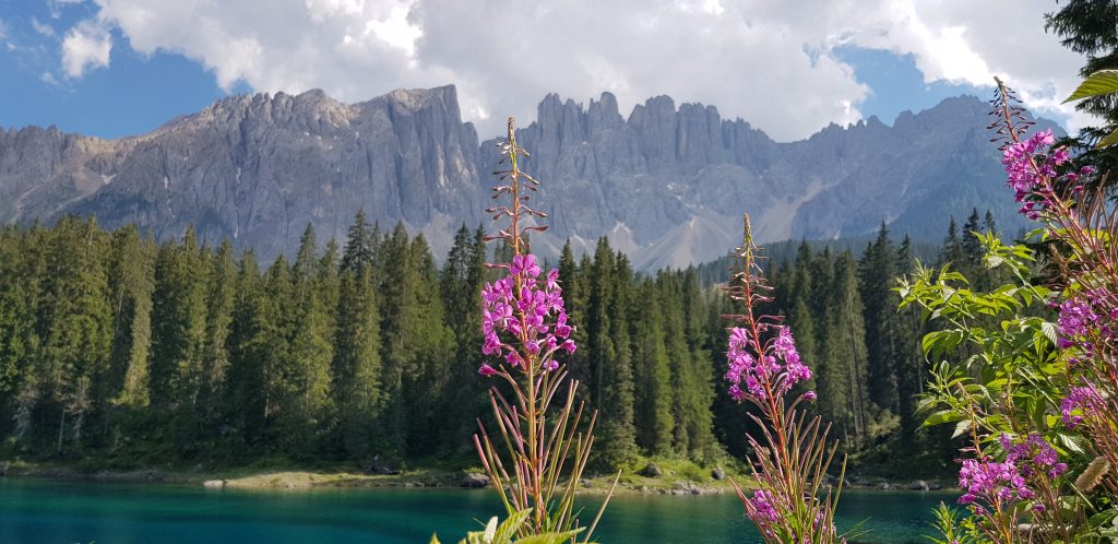 Irene Leti - Titolo: L’incantesimo del lago - Luogo: Lago di Carezza - Didascalia fornita dall’autore: Verdi distese di boschi incantati e specchi d