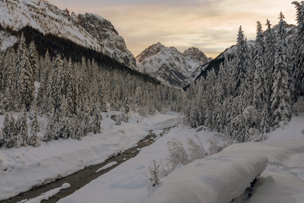 Luca De Ronch - Titolo: Il bosco della Digola - Luogo: Sappada (UD) - Didascalia fornita dall’autore: Il bosco della Digola, Paesaggio invernale.
