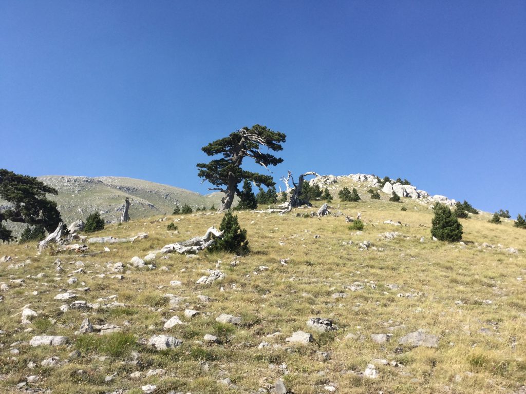 Parco Nazionale del Pollino