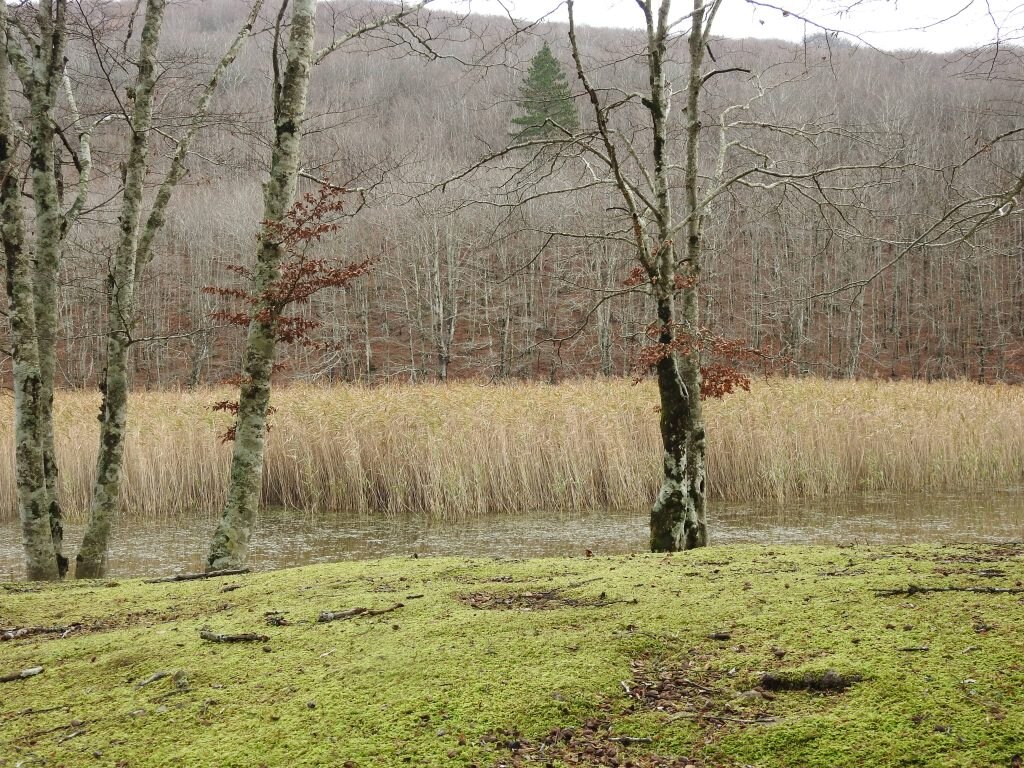 Parco regionale delle Serre