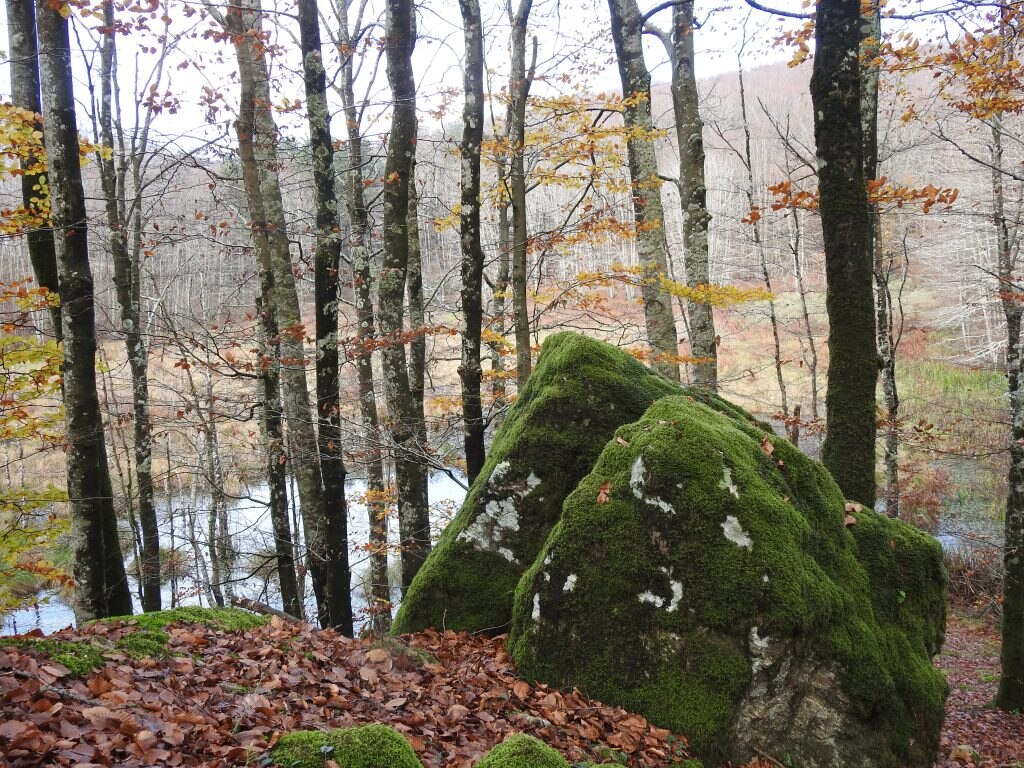 Parco regionale delle Serre