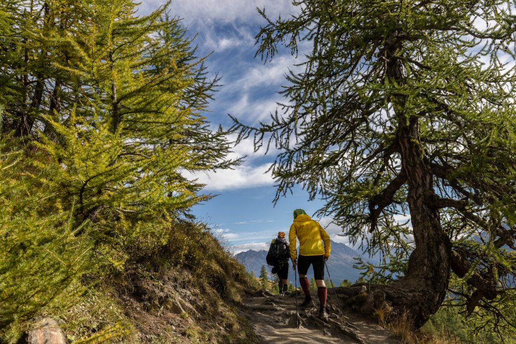Rifugio Bertone - Ph. Roberto Roux - Foto TORX®