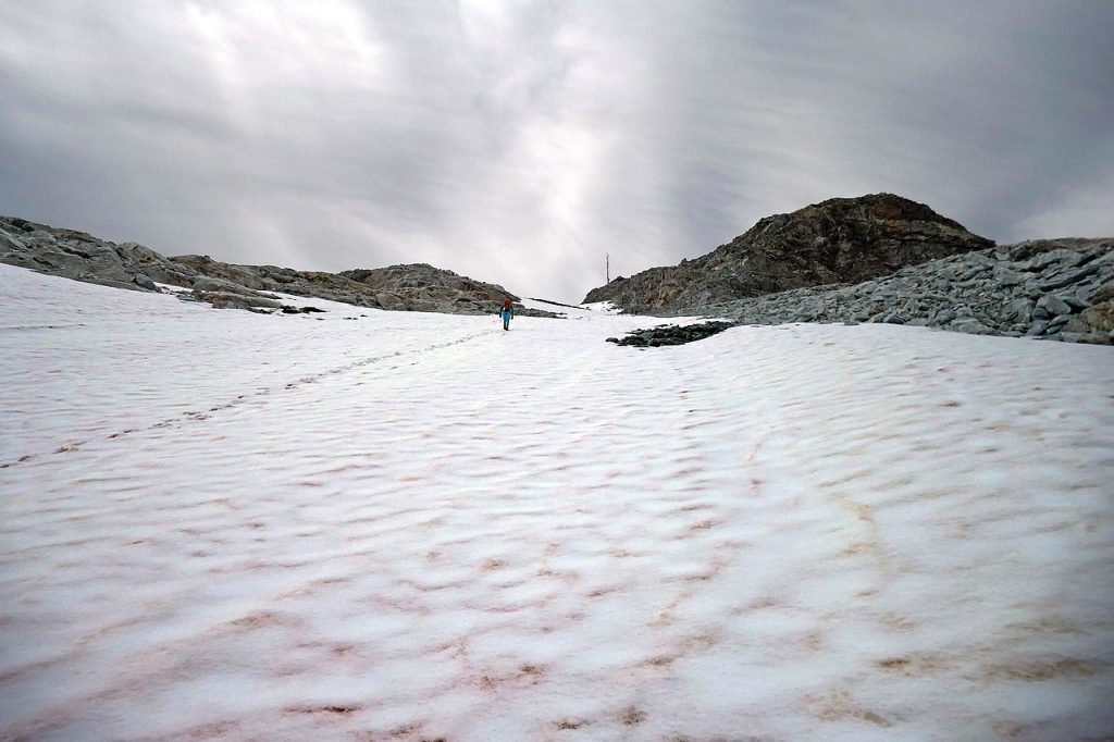 Vadret dal Corvatsch, agosto 2021 - Foto Wikimedia Commons @Tiia Monto