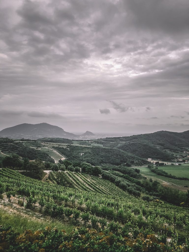 Colli euganei - Foto Unsplash @Gabriele Rampazzo