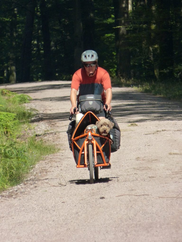 Foto @Bicycle will save the world