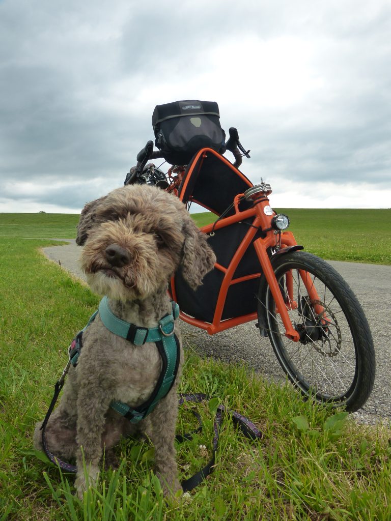 Zola - Foto @Bicycle will save the world
