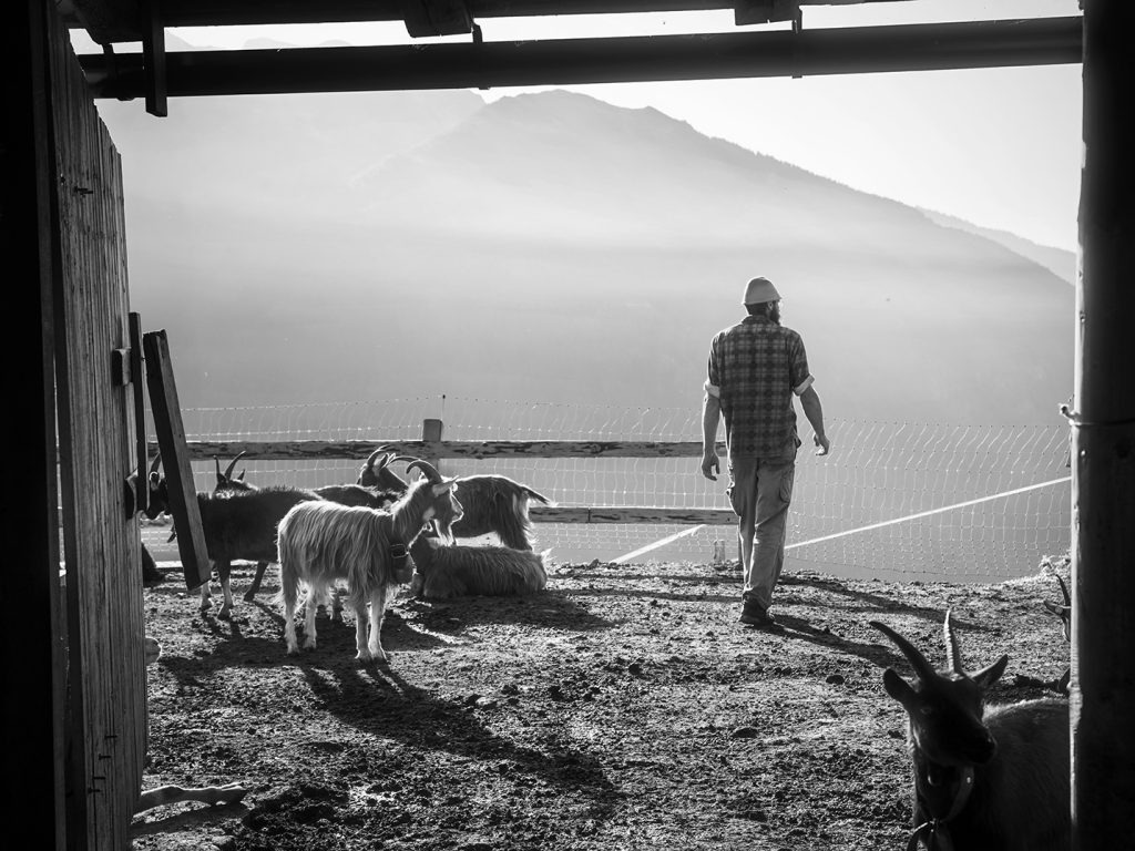 Sentiero della Fotografia - Malga Polinar in Val di Rabbi