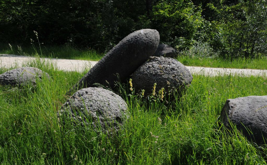 Trovants - Foto ANSA (Xinhua/Lin Huifen) (Credit Image: © Lin Huifen/Xinhua/ZUMAPRESS.com)