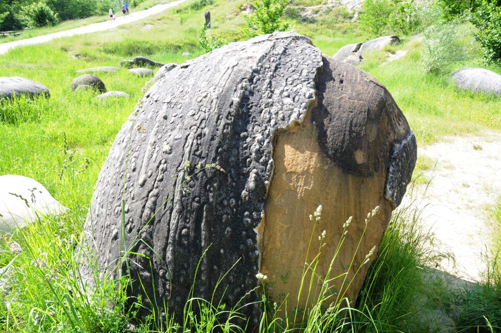 Trovant - Foto ANSA (Xinhua/Lin Huifen) (Credit Image: © Lin Huifen/Xinhua/ZUMAPRESS.com)