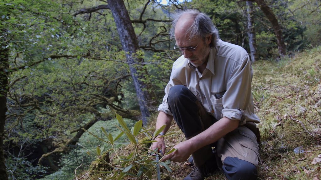 Pushed up the mountain