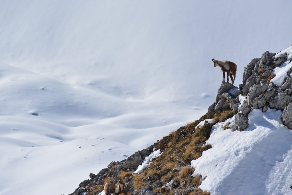 PNALM. Foto Wikimedia Commons @Mocarmo