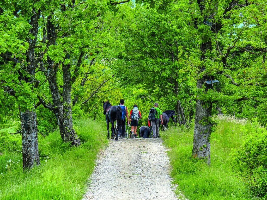 Un tratto della Via del Sale lombarda, presso Varzi. Qui inizia il cammino che raggiunge Portofino, ripercorrendo le antiche mulattiere che trasportavano il prezioso sale dai porti liguri ai monti. Foto Valerio Maruffi/Realy Easy Star