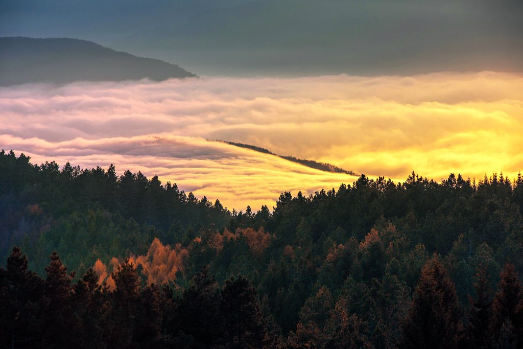 Una coltre di nuvole basse affascina lo sguardo dal Monte Penice. Molto apprezzato dagli escursionisti, con i suoi 1.460 metri di altezza è una delle vette più elevate dell’Appenino ligure e offre un ampio panorama che abbraccia l’Oltrepò, la Val Trebbia e la Val Tidone. Foto Valerio Maruffi/Realy Easy Star