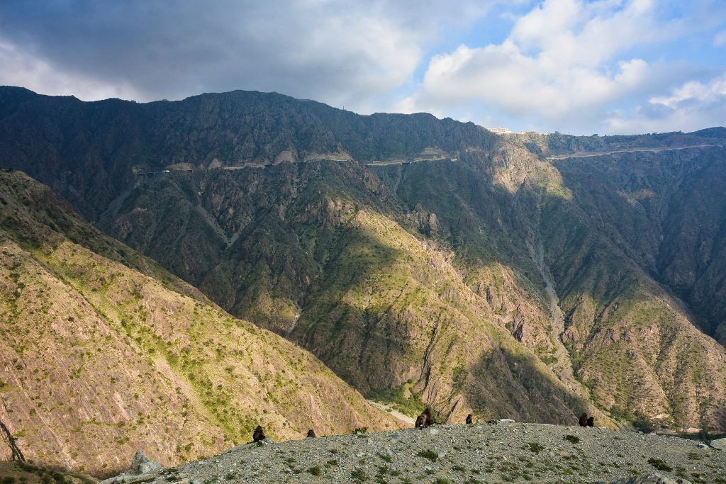 Sarawat Mountains - Foto Wwikimedia Commons @Prof. Mortel