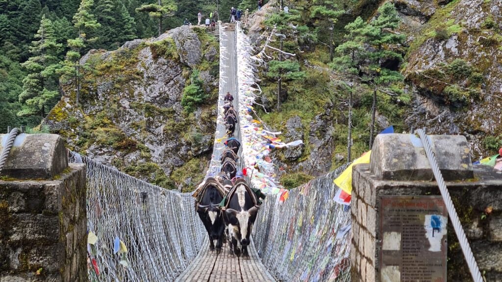 Senso unico alternato sul ponte di Jorsale