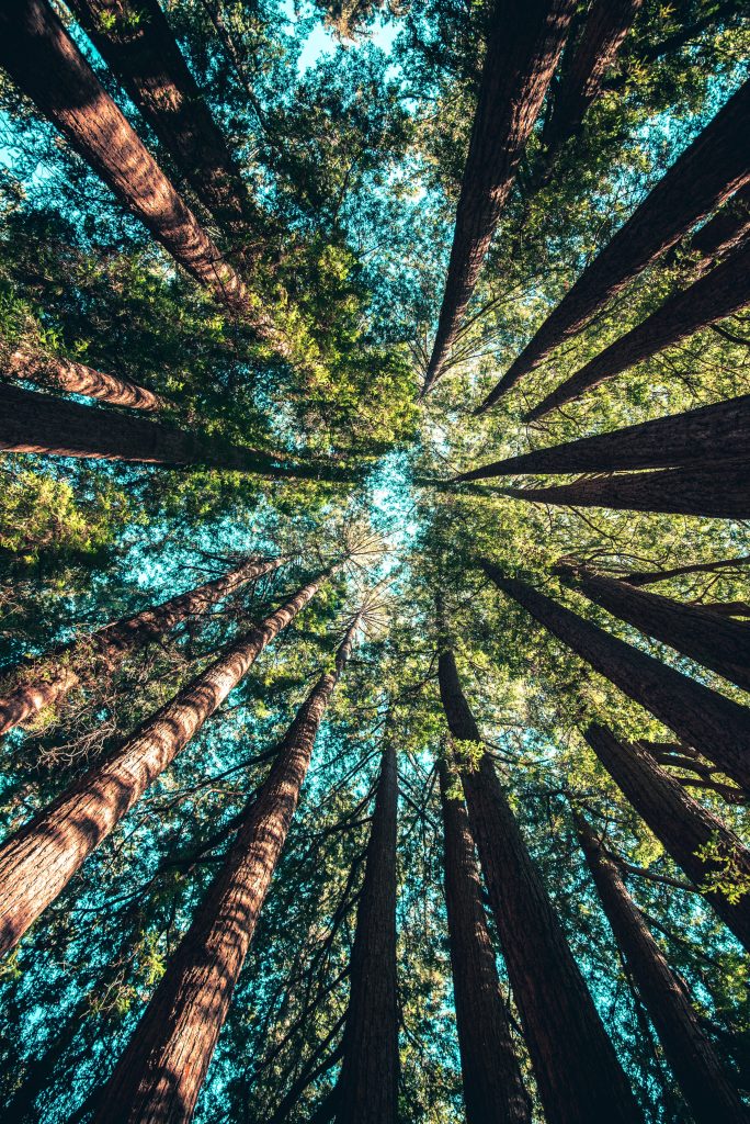 Foto Unsplash @Casey Horner