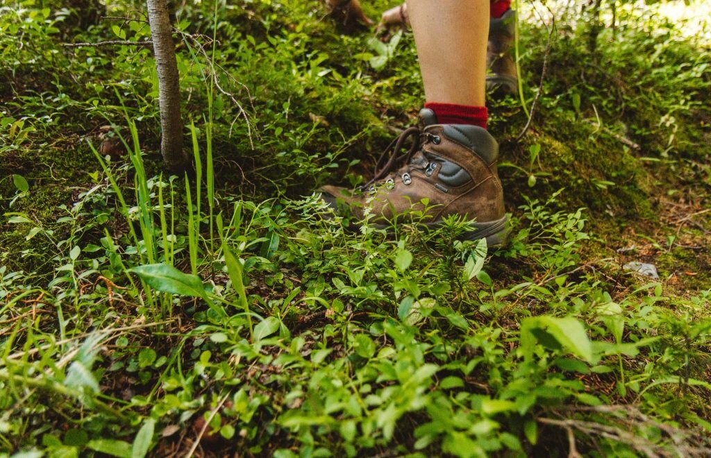 Trekking - Foto Unsplash @Holly Mandarich