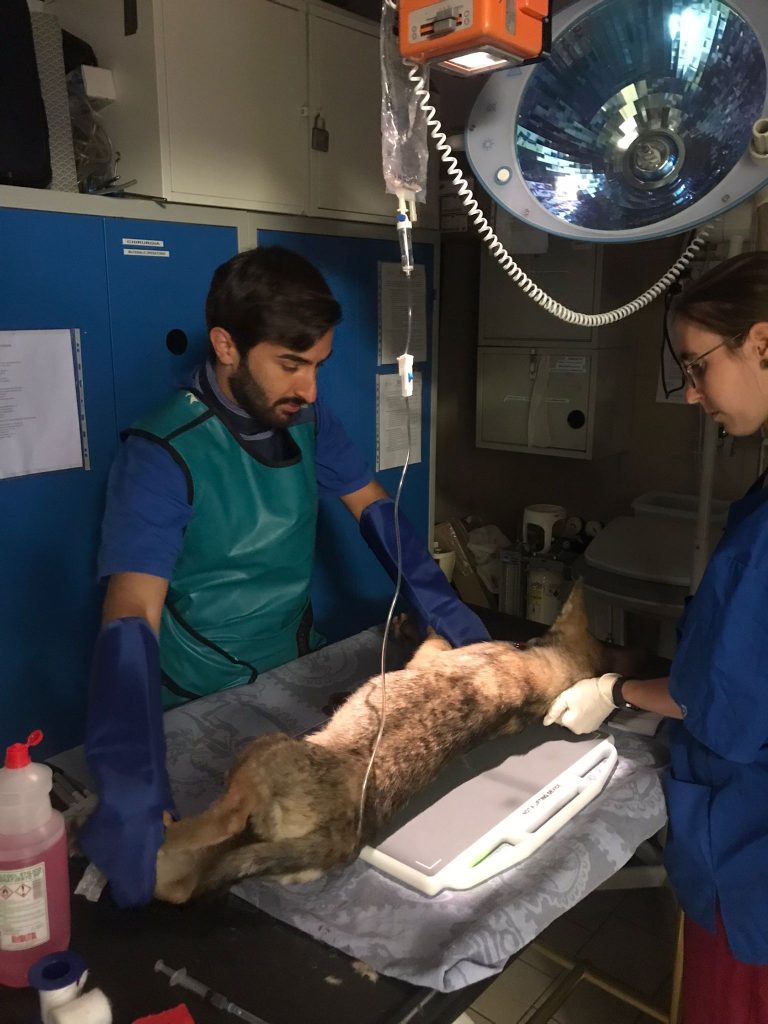 Foto Città metropolitana di Torino