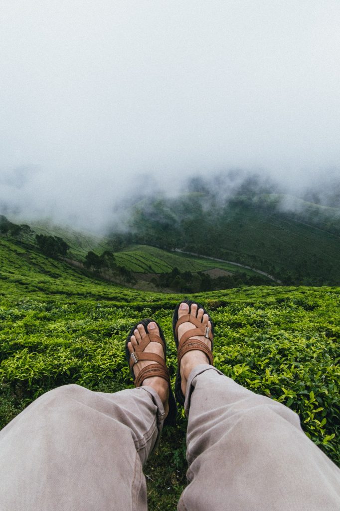 Foto Pexels @Alfin Auzikri