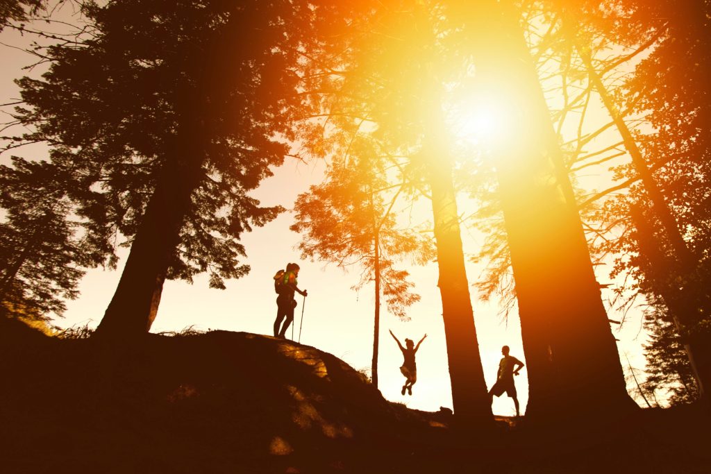 Foto Unsplash @Photo nic