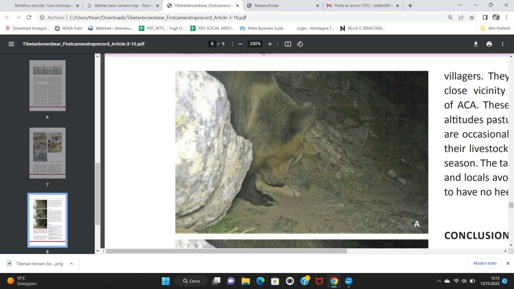 Le immagini delle fototrappola - Photo courtesy Madhu Chetri