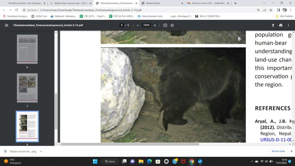 Le immagini delle fototrappola - Photo courtesy Madhu Chetri