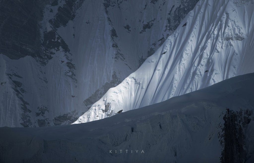 Foto 2 Kittiya Pawlowski