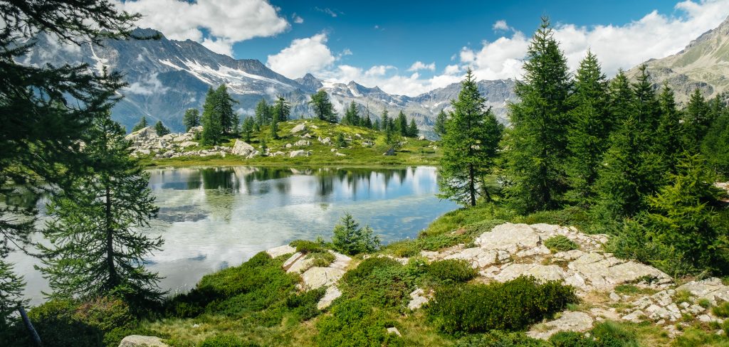 Parco del Gran Paradiso. Foto Adobe Stock