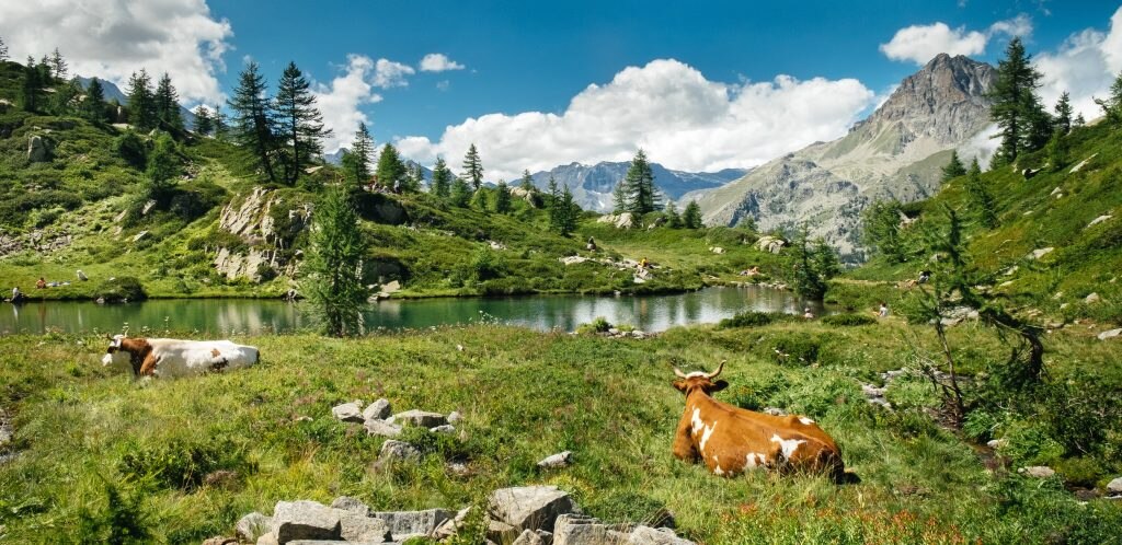 Parco del Gran Paradiso. Foto Adobe Stock