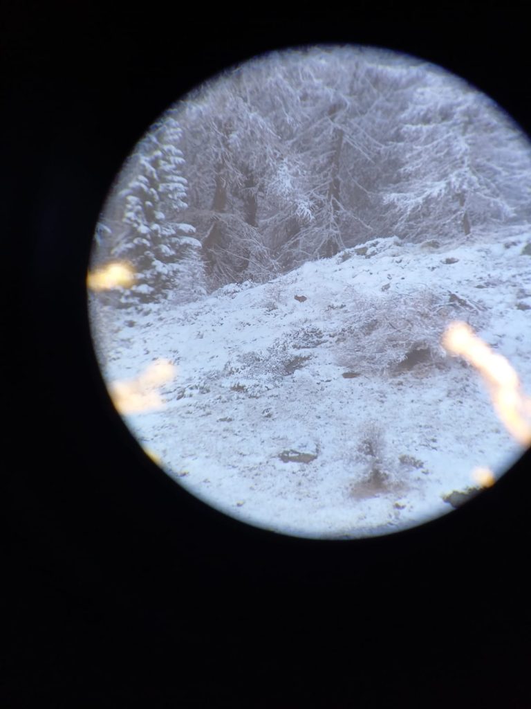 Foto Regione Valle d