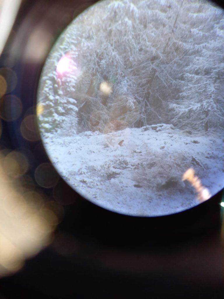 Foto Regione Valle d