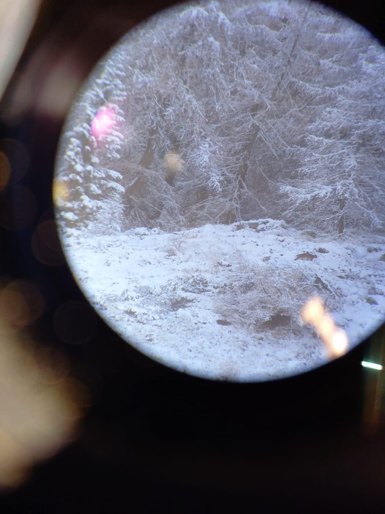 Foto Regione Valle d