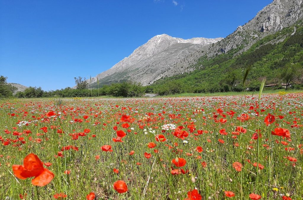 cets, carta europea del turismo sostenibile